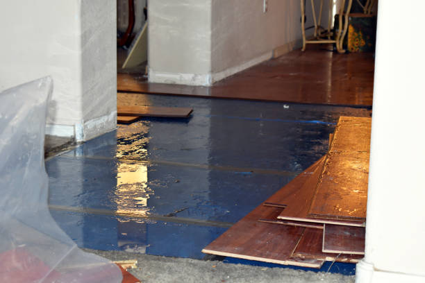 Professional Water Damage Repair technician working in Utica, IN